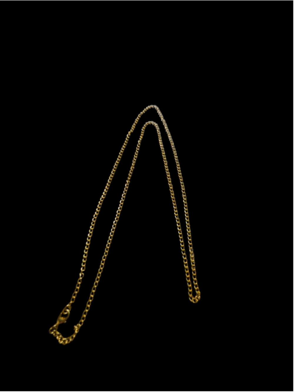 10/1/9. Long Gold Chain(PRICE IS FIRM IF YOUR JUST BUYING THIS ITEM)